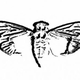 Image for article titled Read This: A look into one of the Internet’s most mysterious and enduring cryptographic puzzles
